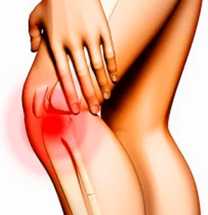 Struktura anatomike e gjurit